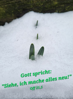 Jahreslosung 2026: Gott spricht: "Siehe, ich mache alles neu!" Off 21,5