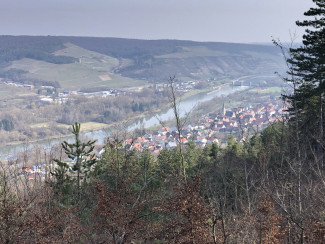 Blick auf Erlabrunn