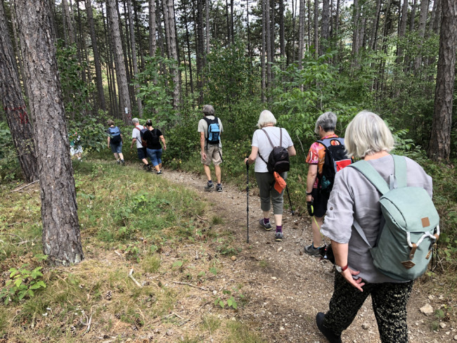 Die Wandergruppe läuf auf einem Pfad im Wald.
