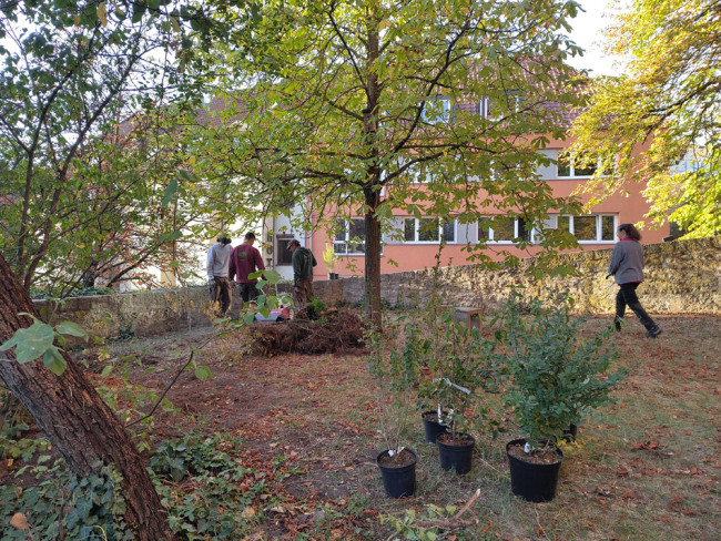 Pflanzaktion: Bei der Arbeit im Kirchgarten