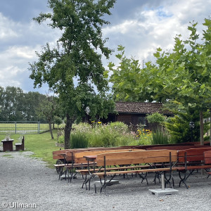 Biergarten des Gasthofs Zum Hirschen, Schollbrunn