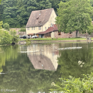 Forellenteich an der Kartause