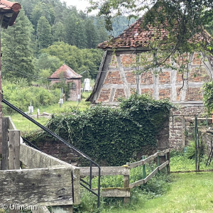 Ruine an der Kartause Grünau, die romantische Ruine einer mittelalterlichen Klosteranlage.